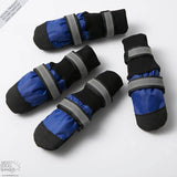 Botas para mascotas: ¡Protege a tu mejor amigo, sin importar la estación!