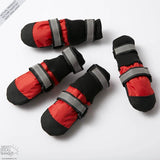 Botas para mascotas: ¡Protege a tu mejor amigo, sin importar la estación!