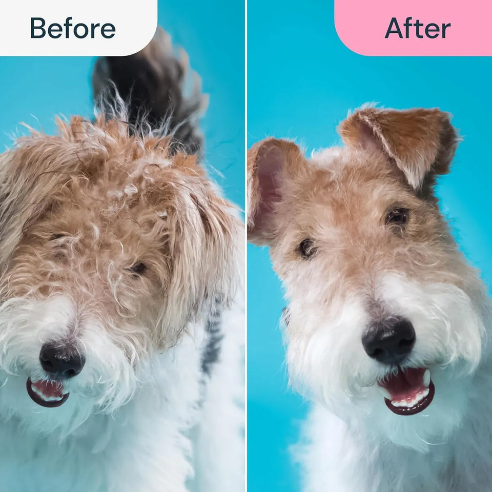 Removedor de pelo para Mascotas