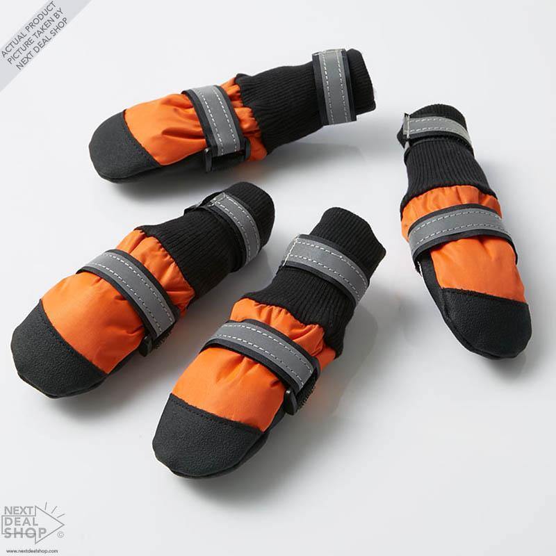 Botas para mascotas: ¡Protege a tu mejor amigo, sin importar la estación!