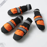 Botas para mascotas: ¡Protege a tu mejor amigo, sin importar la estación!